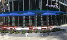 Behind the Issuer: Capital One Behind the Issuer: Capital One