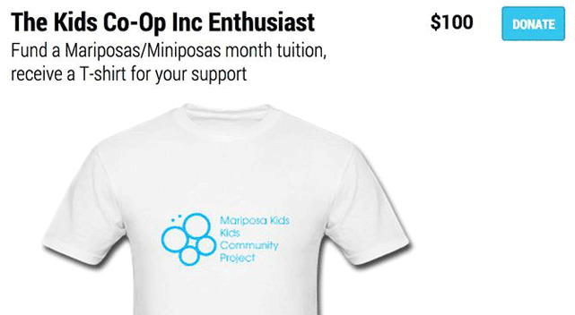 Screenshot of a T-shirt gift through Fundly Screenshot of a T-shirt gift through Fundly