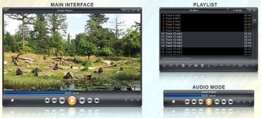 Screenshots of Inmatrix Zoom Player interface