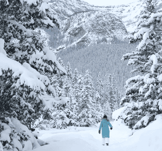 Photo of Lake Louise Canada