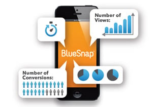 Screenshot of a BlueSnap graphic