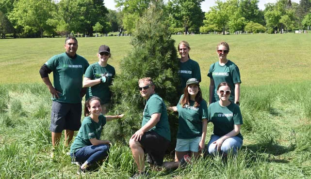 Photo of MSUFCU employees planting trees Photo of MSUFCU employees planting trees