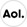 AOL