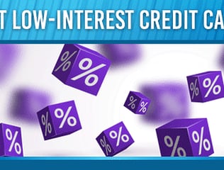 17 Best 0% APR & Low-Interest Credit Cards (2022)