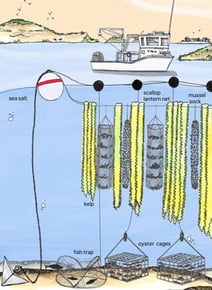 3D Ocean Farming Model Illustration 3D Ocean Farming Model Illustration