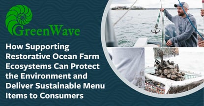 How Greenwave Restorative Ocean Farm Ecosystems Protect The Environment