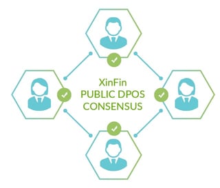 Graphic of XinFin public consensus model