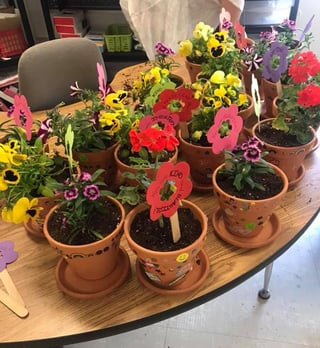 Photo of potted flowers headed to assisted living facilities