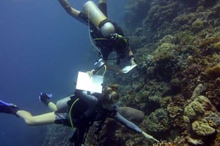 Coral Cay Conservation Volunteer Training