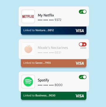 Screenshot from Capital One website