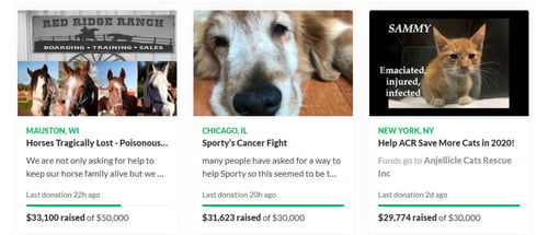 GoFundMe Animal Fundraisers