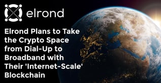 Elrond: A Scalable, Efficient, and Low-Cost Blockchain