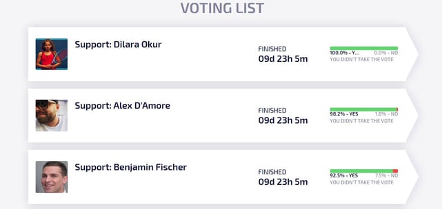 Screenshot of TokenStars voting list
