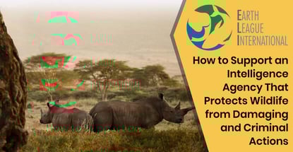Earth League International: How to Support an Intelligence Agency That Protects Wildlife from Damaging and Criminal Actions Earth League International: How to Support an Intelligence Agency That Protects Wildlife from Damaging and Criminal Actions