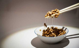 Fermented Bean Curds Photo Fermented Bean Curds Photo