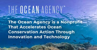 The Ocean Agency: Accelerating Conservation