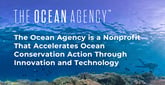 The Ocean Agency is a Nonprofit That Accelerates Ocean Conservation Action Through Innovation and Technology