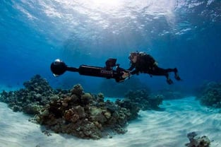 Diver Photo Diver Photo