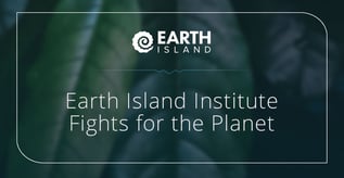 Earth Island Institute Fights for the Planet