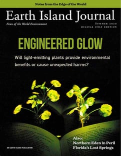 Earth Island Journal Earth Island Journal
