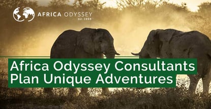 Africa Odyssey Consultants Plan Unique Adventures