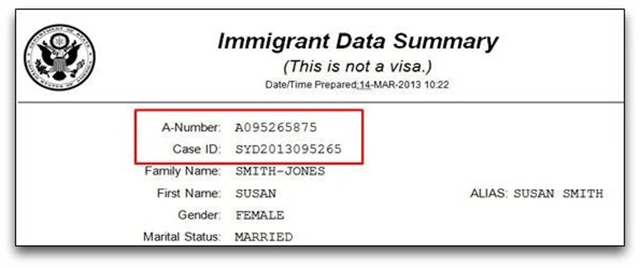 A Number on Immigrant Data Summary