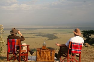 Safari Picnic Photo