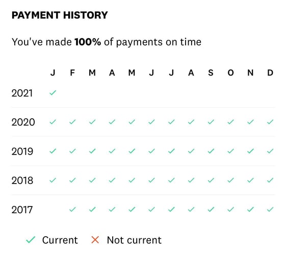 Screenshot of Credit Card Payment History