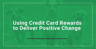 Using Credit Card Rewards to Deliver Positive Change