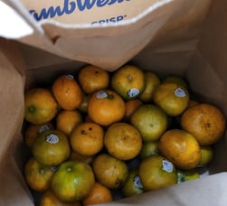 Photo of oranges Photo of oranges