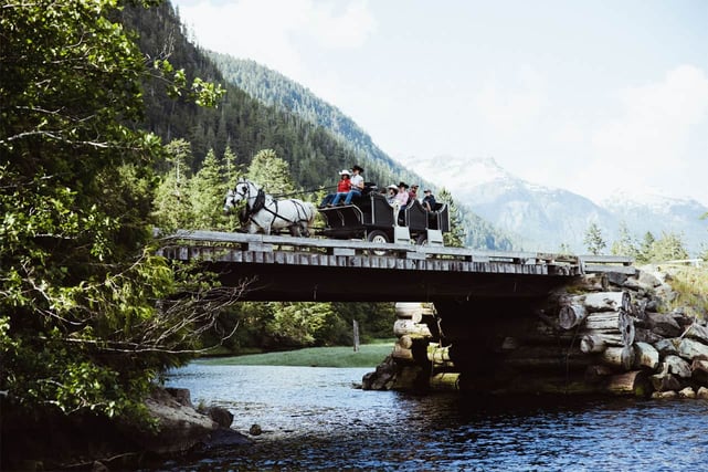 Photo of guests in a horse-drawn wagon shuttle