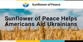 Sunflower of Peace Offers Donation and Volunteer Opportunities for Americans to Help Ukrainians