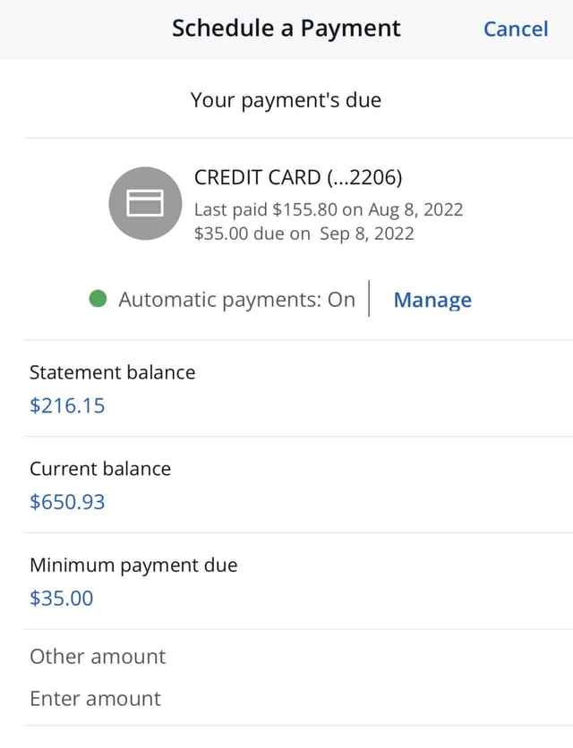 Screen to Schedule a Payment