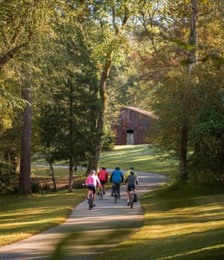 Photo of bikers on a trail