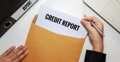 What Do Card Issuers See When They Check Your Credit