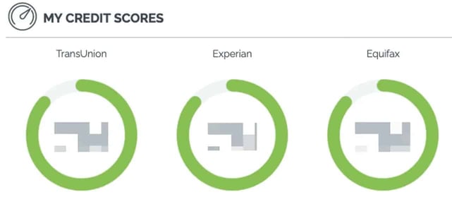 IdentityIQ credit monitoring