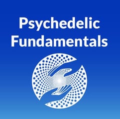Psychedelic Fundamentals Psychedelic Fundamentals