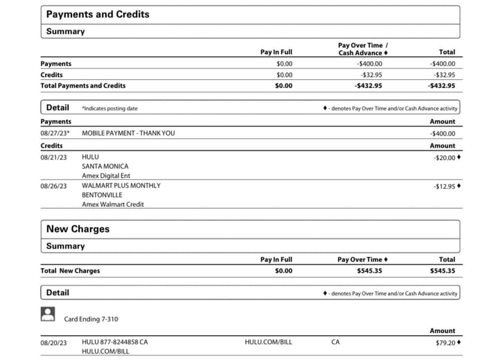 Screenshot of Amex Credit Card Statement