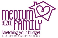 Medium Sized Family logo Medium Sized Family logo