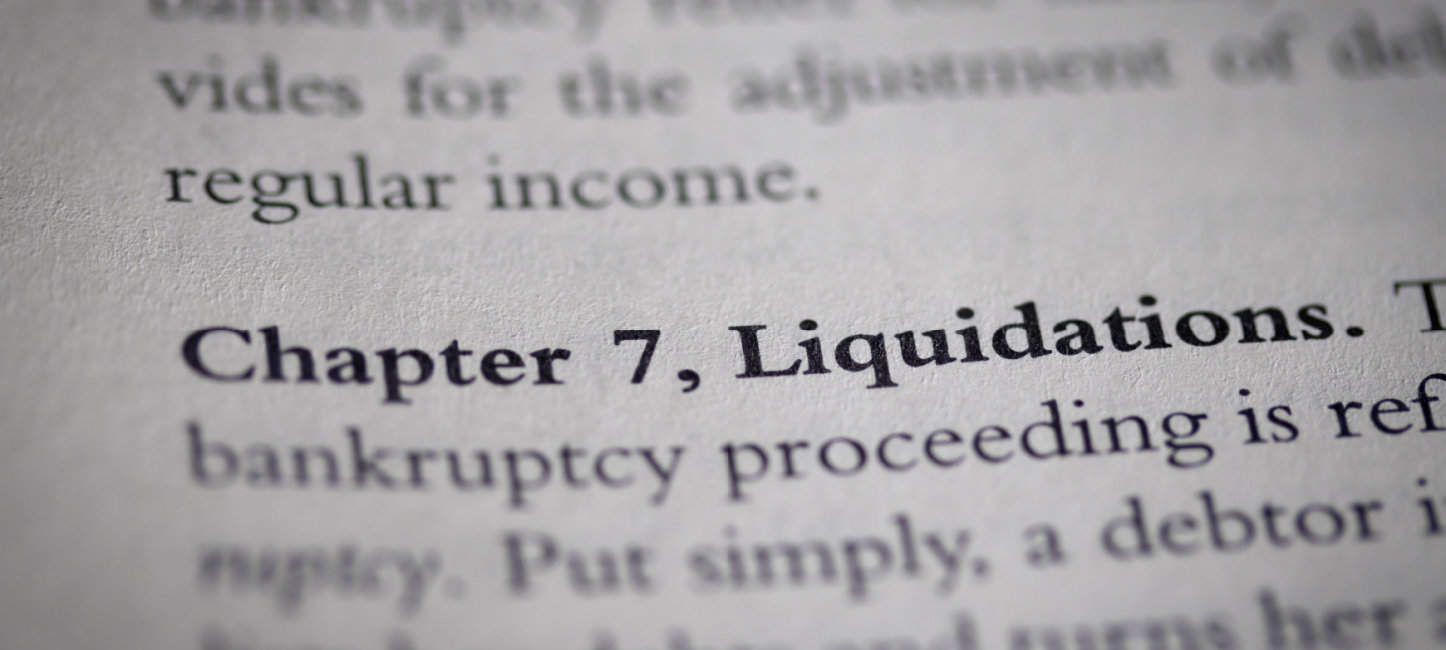 Chapter 7 bankruptcy in print