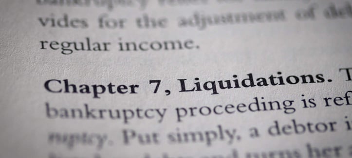 Chapter 7 bankruptcy in print