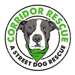 Corridor Rescue logo