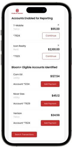 Bloom Credit app account identification