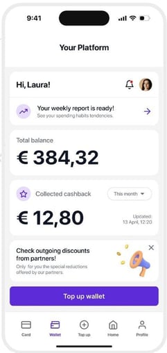 ConnectPay interface image