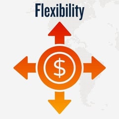 Flexibility Flexibility