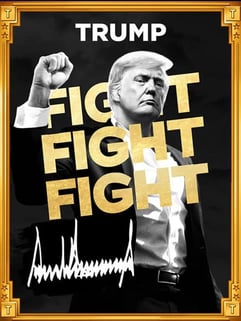 Trump meme coin image Trump meme coin image