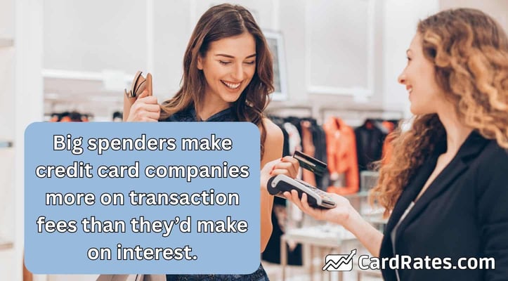 Big spenders make credit card companies more on transaction fees than theyâd make on interest. Big spenders make credit card companies more on transaction fees than theyâd make on interest.