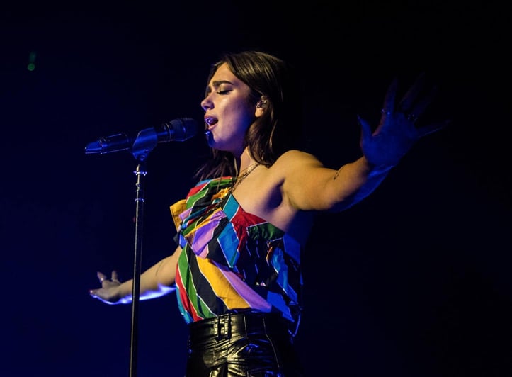 vocalist singing into microphone vocalist singing into microphone