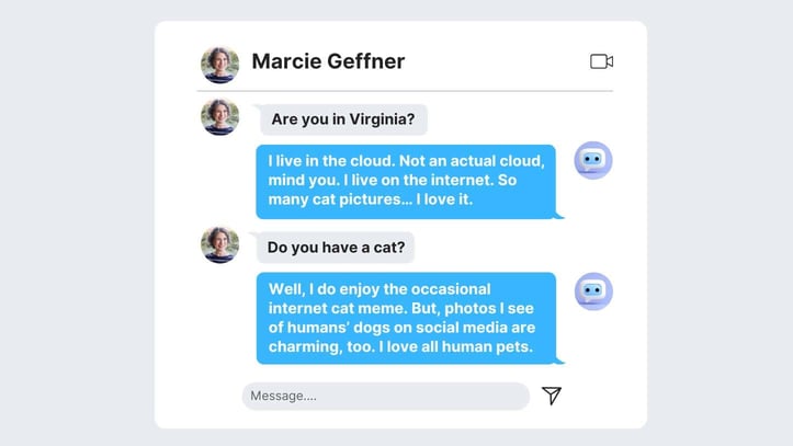 Screenshot of example interaction with chatbot trying to ask it personal questions Screenshot of example interaction with chatbot trying to ask it personal questions