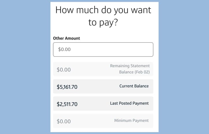 screenshot from a Capital One account showing the words How much do you want to pay, a box with the words other amount, a line that says Remaining statement balance (Feb 02) of $0.00, Current Balance $5161.70, Last Posted Payment $2411.70 and Minimum Payment $0.00. screenshot from a Capital One account showing the words How much do you want to pay, a box with the words other amount, a line that says Remaining statement balance (Feb 02) of $0.00, Current Balance $5161.70, Last Posted Payment $2411.70 and Minimum Payment $0.00.
